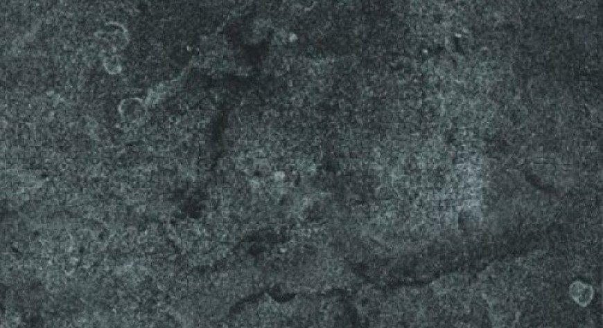 Мегаполис - фото 2