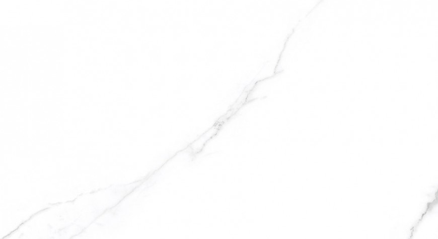 Apollo blanco - фото 1