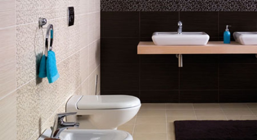 Zebrano - фото 4