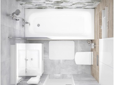 Etnis ботаника