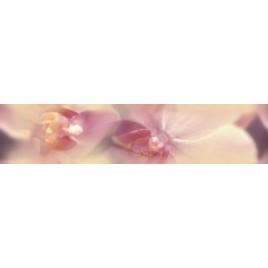 Blossom Бордюр B200D183 4,5х20