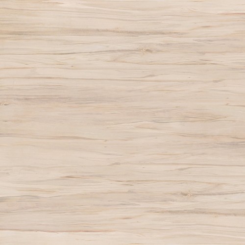 Botanica глаз. керамогранит коричневый (C-BN4R112D) 42x42