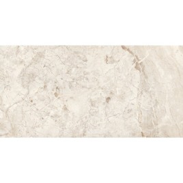 Брич Сильвер Керамогранит светло-серый 60х120 полированный