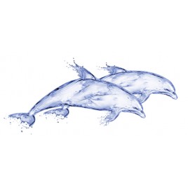 DeepBlue Декор Дельфин (DB2G051D) 20х44