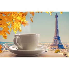 Д3 Травэл кап Д3Д249 Декор 30х20