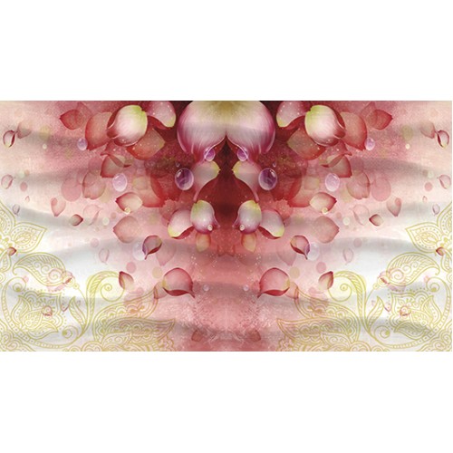 Dec Allure Декор КВС16Allure 25х45