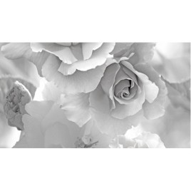 Дэк Арома Декор КВС16Aroma 25х45