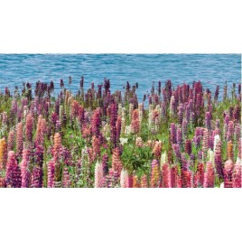 Дэк Дроп Панно (панно из 4-х шт) 50х90