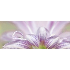 Дэк Мираж Панно (панно из 2-х шт) 50х45