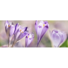 Дэк Модерн 1 Декор КВС16Modern1 25х45