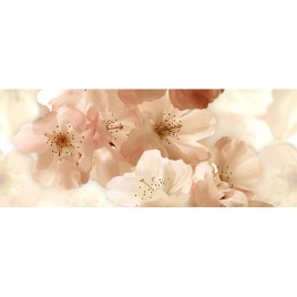 Дэк Модерн 3 Декор 25х45