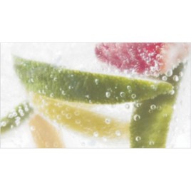 Дэк Мохито 1 Декор 25х45