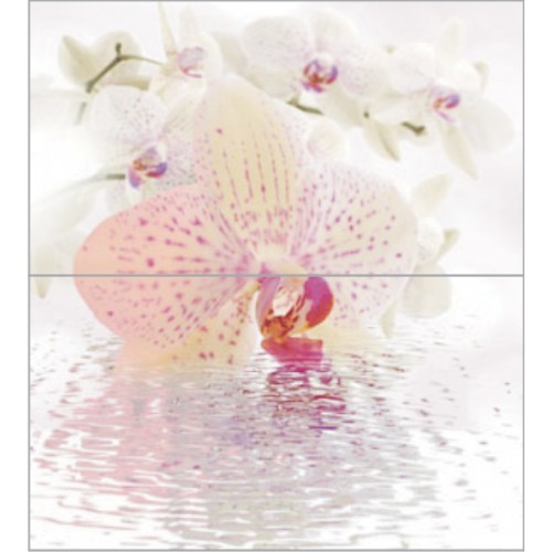 Dec Orchid Panno (панно из 2-х шт) КПН16Orchid 50х45