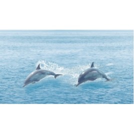 Дэк Палм Панно B КПН16PalmB 25х45