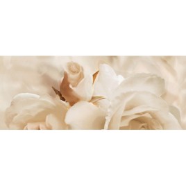 Дэк Сано Панно C 20х50