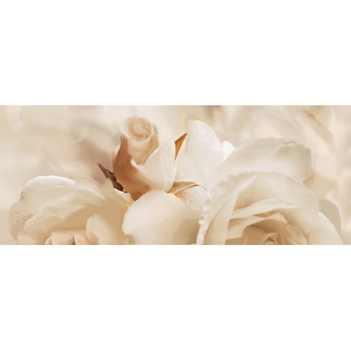 Dec Sano Panno C 20х50