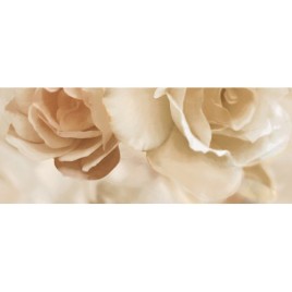 Дэк Санто Панно A 20х50