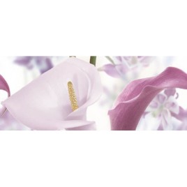 Дэк Санто Панно С 20х50