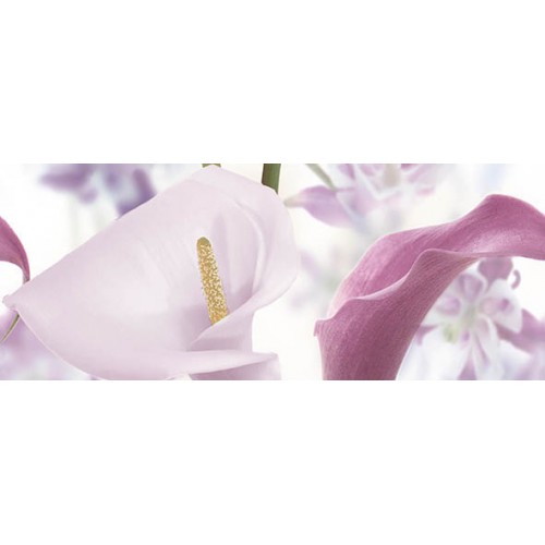 Dec Santo Panno С 20х50