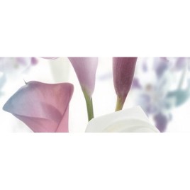 Дэк Скайлайн 1 Декор КВС16Skyline1 25х45