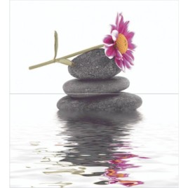 Дэк Танго Панно B КПН16TangoB 25х45