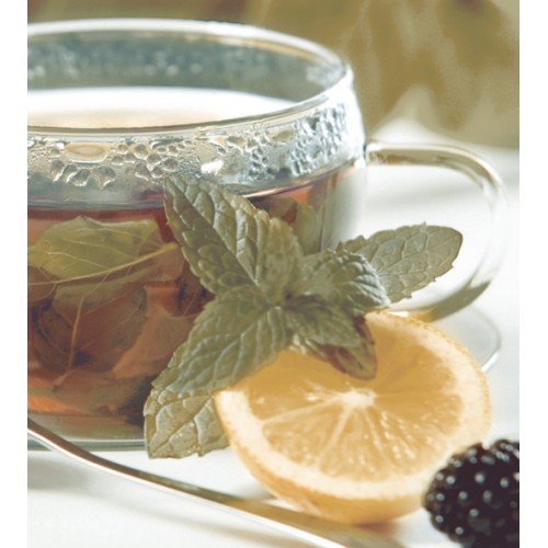 Dec Tea Panno (панно из 2-х шт) КПН16Tea 50х45