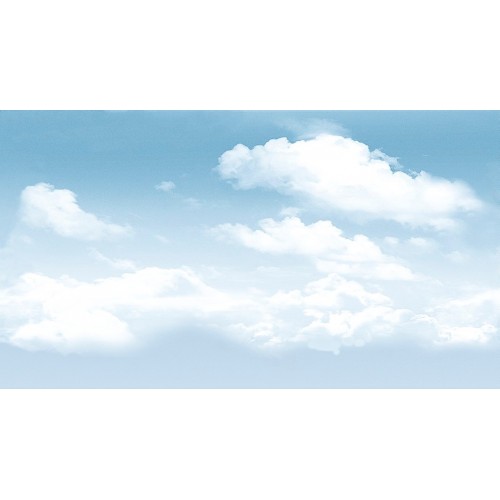 Dec Tropic 1 Декор КВС16Tropic1 25х45