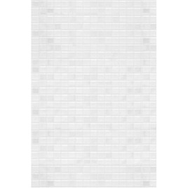 Домино белая Плитка настенная 06-00-00-154 20х30 (Питер)