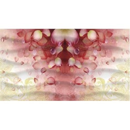 Дримс Декор бежевый 25х50