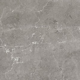 Эскада Керамогранит серый SG169000N 40,2х40,2