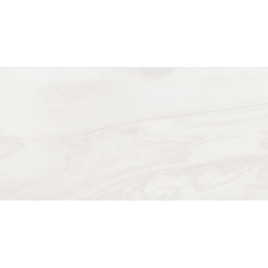 Фрэм Плитка настенная белый 08-00-00-1368 20х40