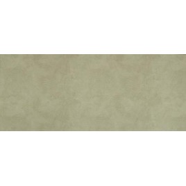 Concrete grey wall 01 250х600 1,2/57,6