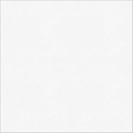 Monocolor Керамогранит белый 01 45х45