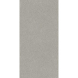 Джиминьяно Керамогранит серый матовый обрезной DD519320R 60х119,5