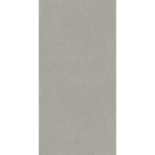 Джиминьяно Керамогранит серый матовый обрезной DD519320R 60х119,5