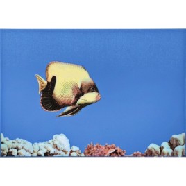 MONO FISH 1 Декор 27,5х40