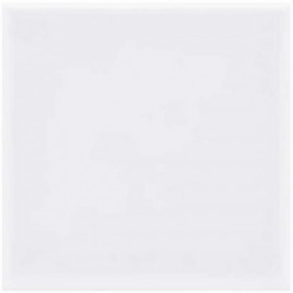 Мелкоформатная настенная плитка Однотонная глянц. белый (12-01-4-01-00-00-001)