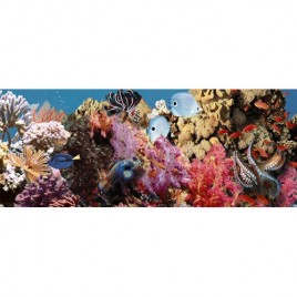 Ocean Reef 1 Декор 20x50