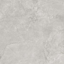 Pluto Silver Керамогранит светло-серый SG625820R 59,5х59,5 матовый