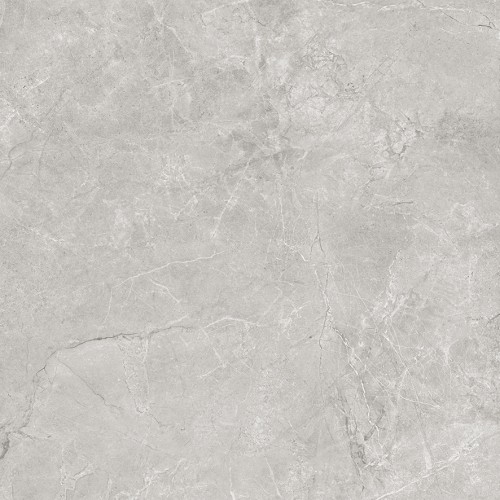Pluto Silver Керамогранит светло-серый SG625820R 59,5х59,5 матовый