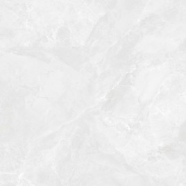 Регнум Бианко Керамогранит светло-серый СR6060G0391R 59,5х59,5 матовый