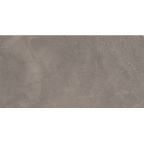 Сплэш Грей Керамогранит серый 60х120 матовый гравированный