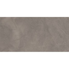 Сплэш Грей Керамогранит серый 60х120 матовый карвинг
