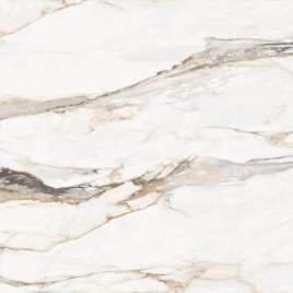 Статуарио Порш Керамогранит 60х60 матовый