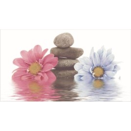 Стоунс 2 Декор 25х45