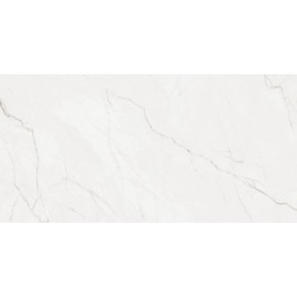 Тенерезза Керамогранит светло-серый 60х120 матовый карвинг