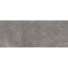 Fronda Плитка настенная серый 20х50