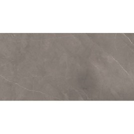 Splash Grey Керамогранит серый 60х120 Сатинированный Карвинг