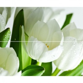 Arco Verde Tulipan Панно (из 2-х пл.) 50x60