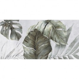 Etnis Плитка настенная светло-серый ботаника 18-00-06-3662 30х60